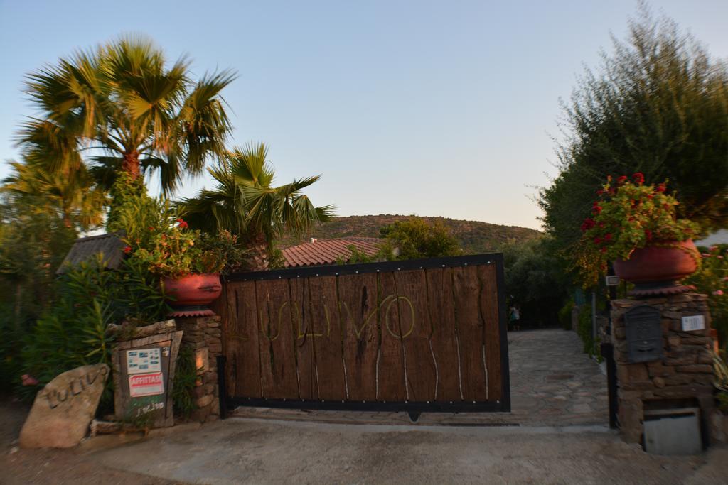 Residence L'Ulivo ブドーニ エクステリア 写真